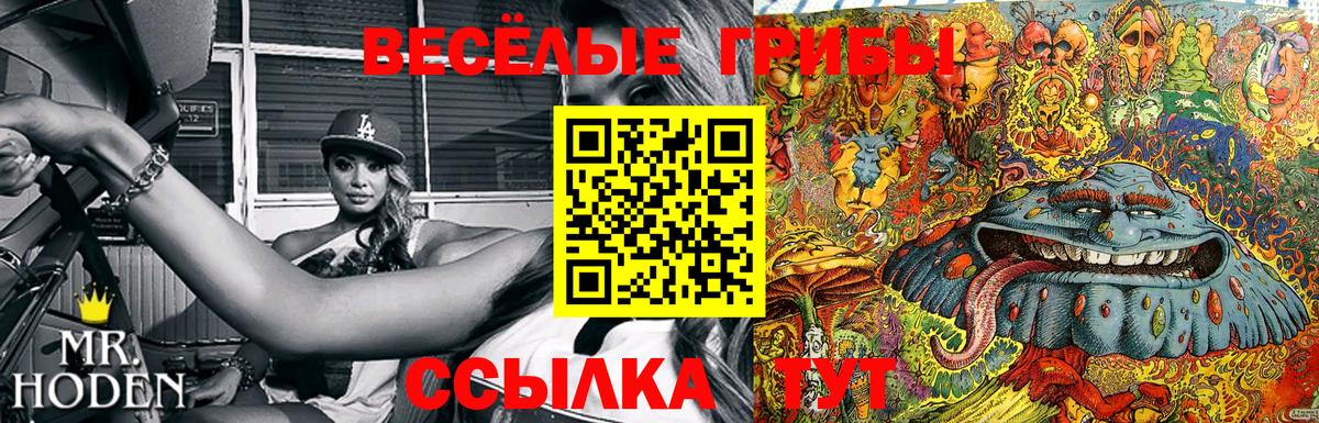 Псилоцибиновые грибы прущие грибы Санкт-Петербург